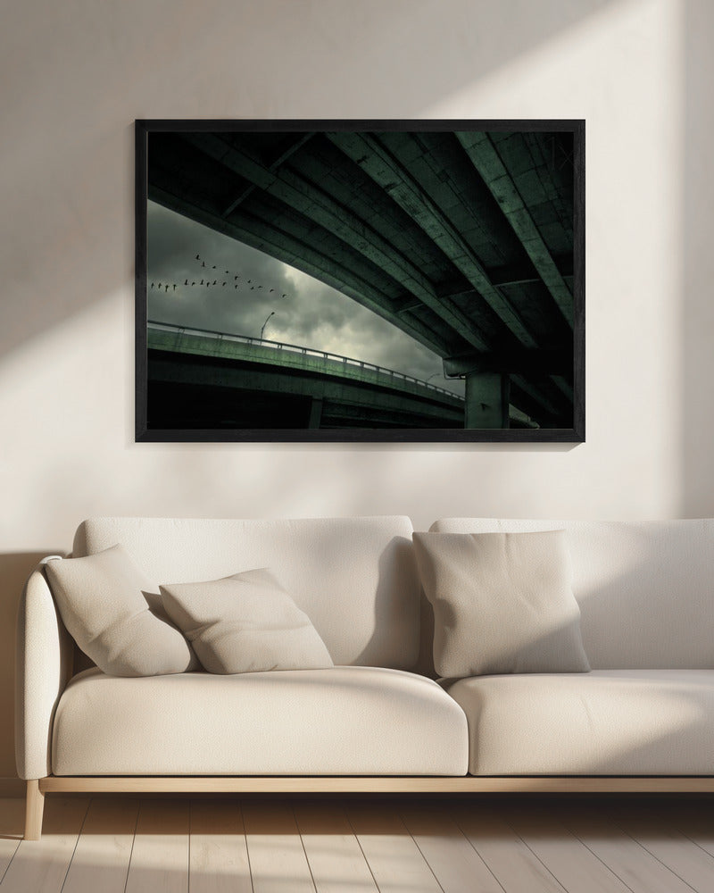 Last Flight | Canvas