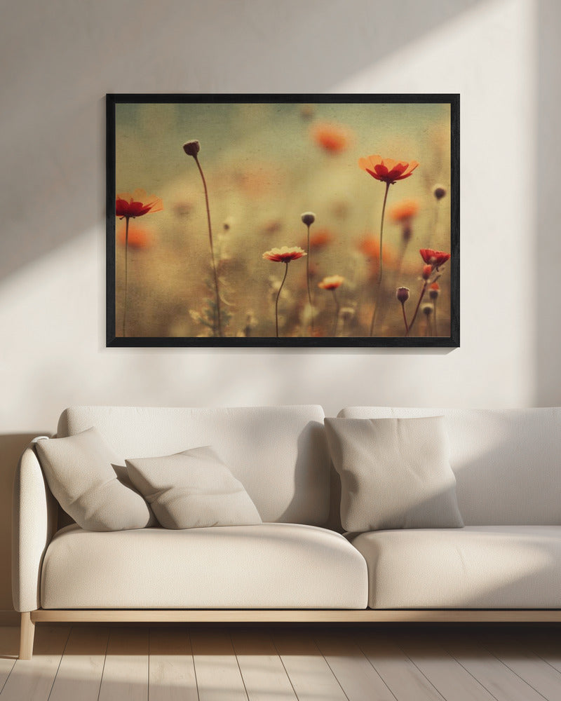 Whispering Poppies | Canvas