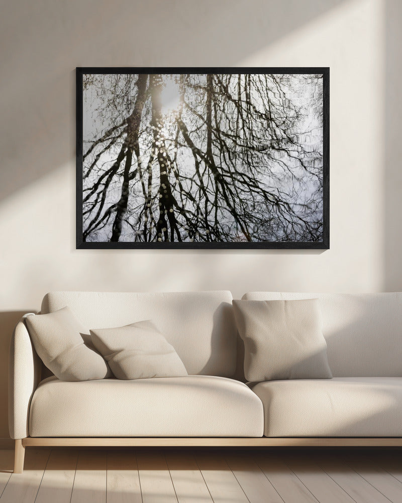 Winter Reflections 3 | Canvas