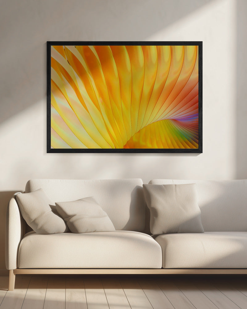 Golden Spirals | Canvas