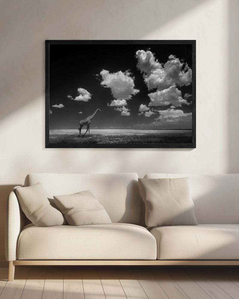 Gone with the Clouds | Canvas