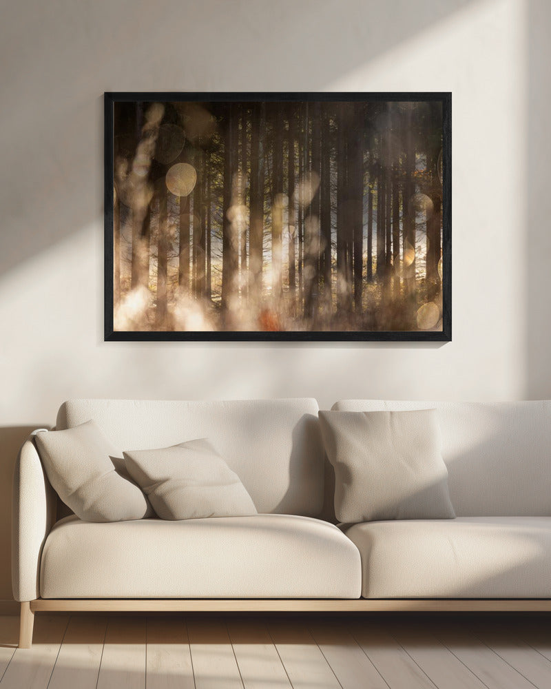 Forest Glow 2 | Canvas