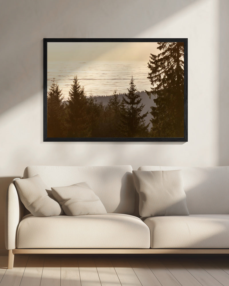 Golden Hour 5 | Canvas