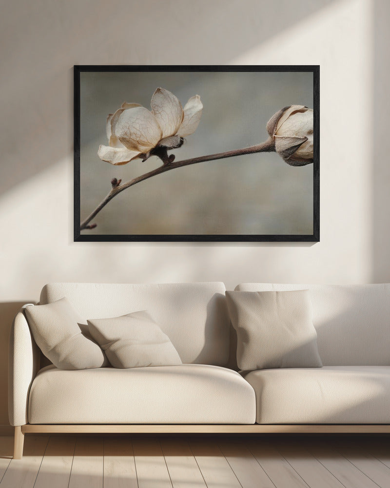 Delicate Petals | Canvas