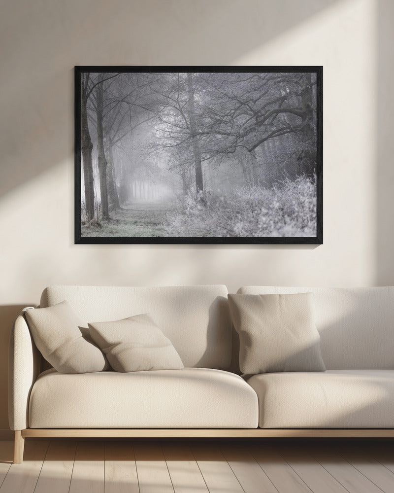 Foggy Winter Morning 1 | Canvas