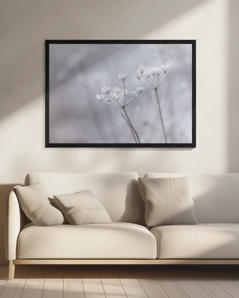 Frozen 7 | Canvas