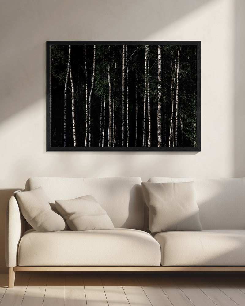 Somewhere In Sweden 4 | Canvas