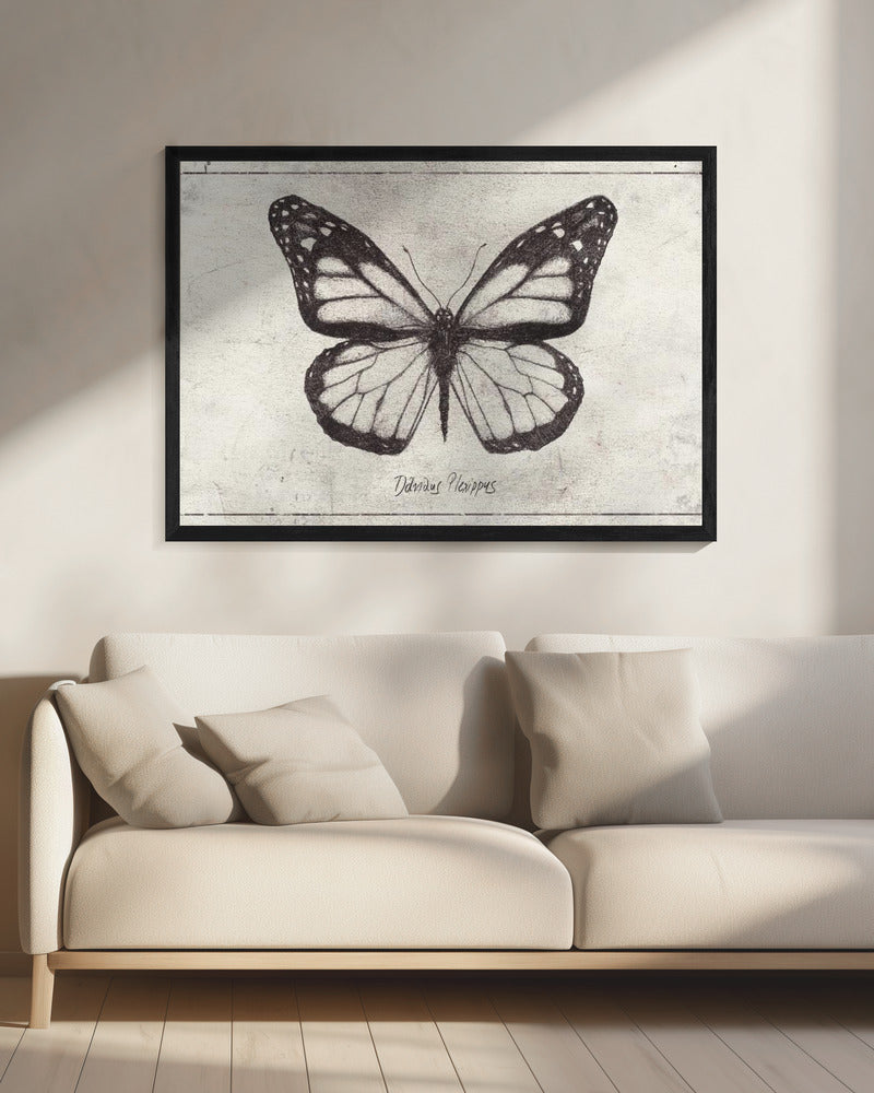 Sketch Of A Monarch Butterfly | Canvas