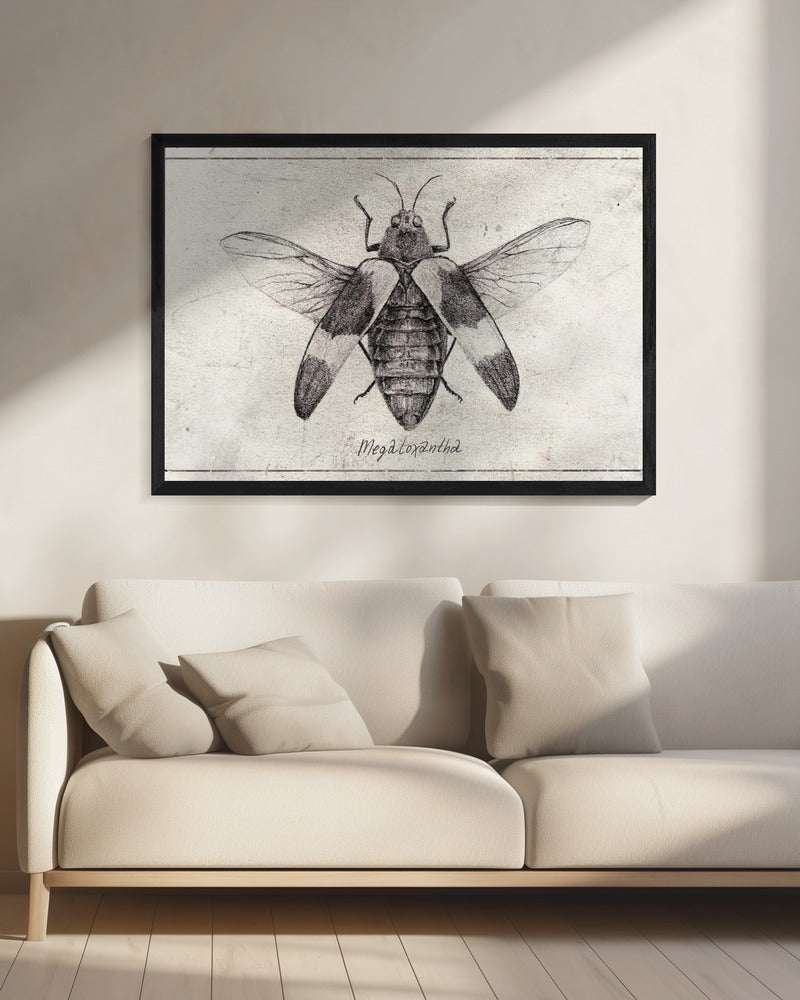 Intricate Insect Sketch | Canvas