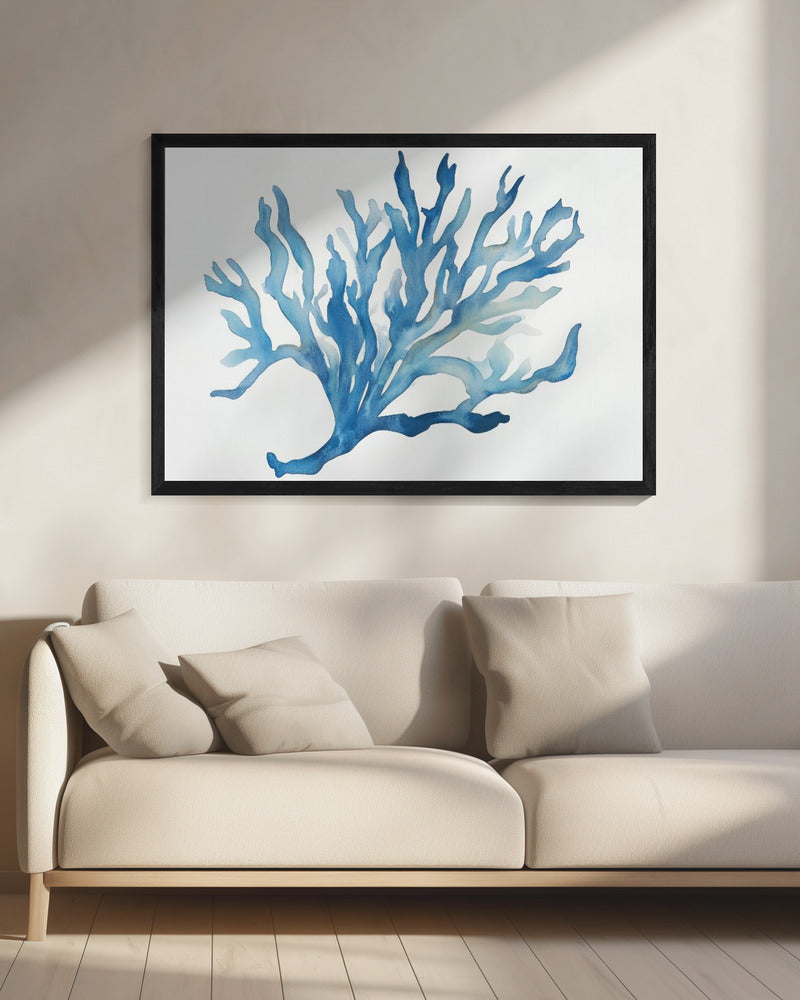Blue Coral | Canvas