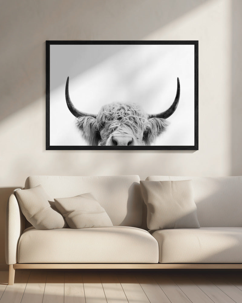 Peeking Cow BW | Canvas