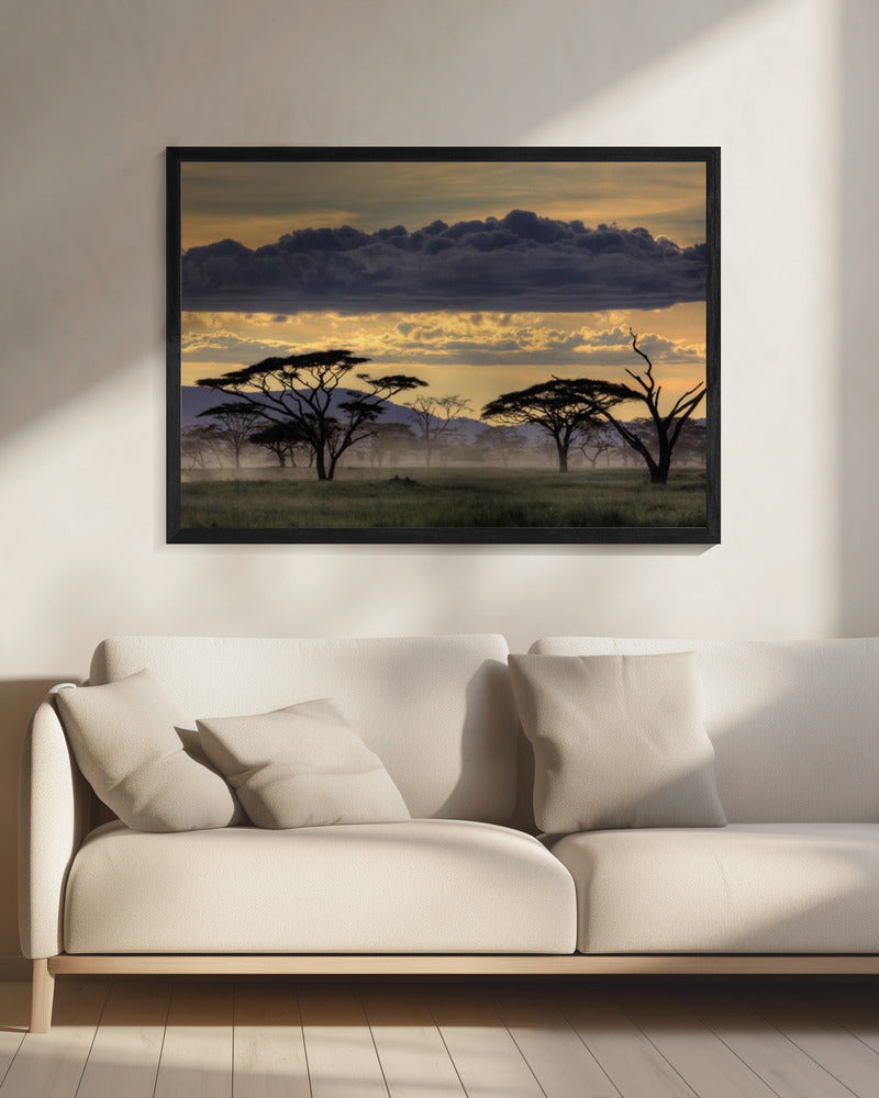Good evening tanazania | Canvas