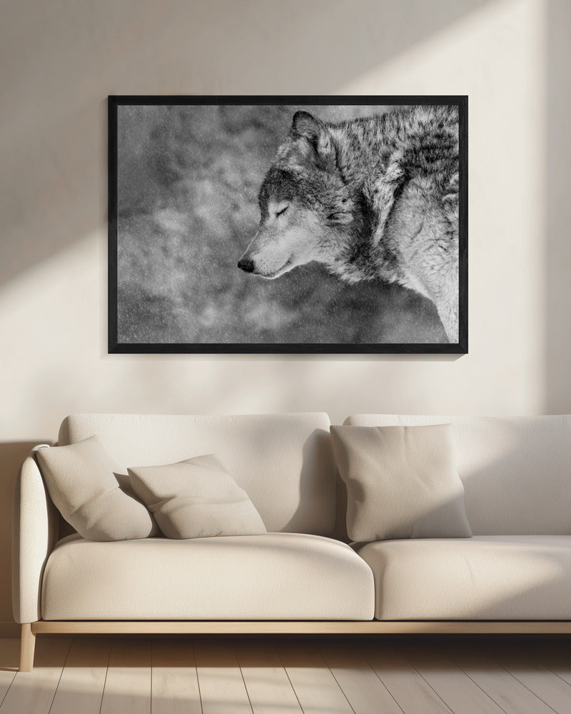 Let it snow | Canvas