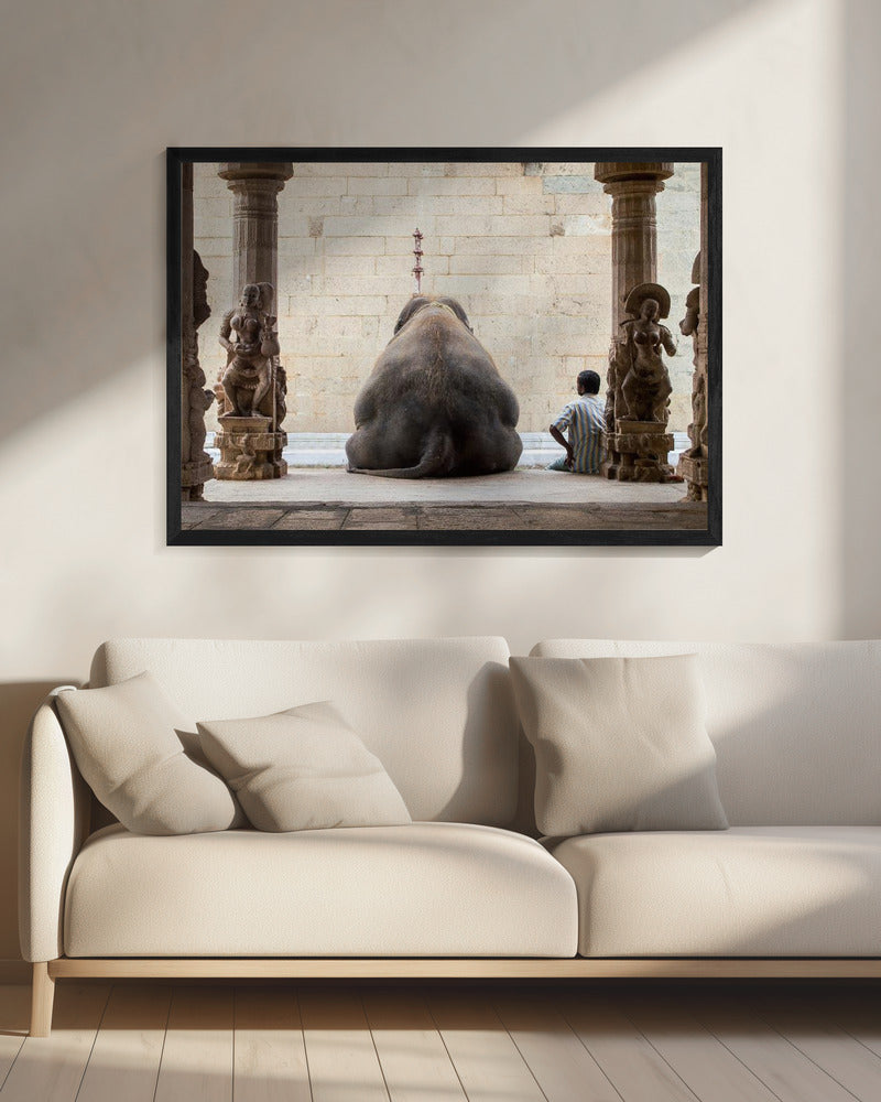 The Elephant &amp; its Mahot | Canvas
