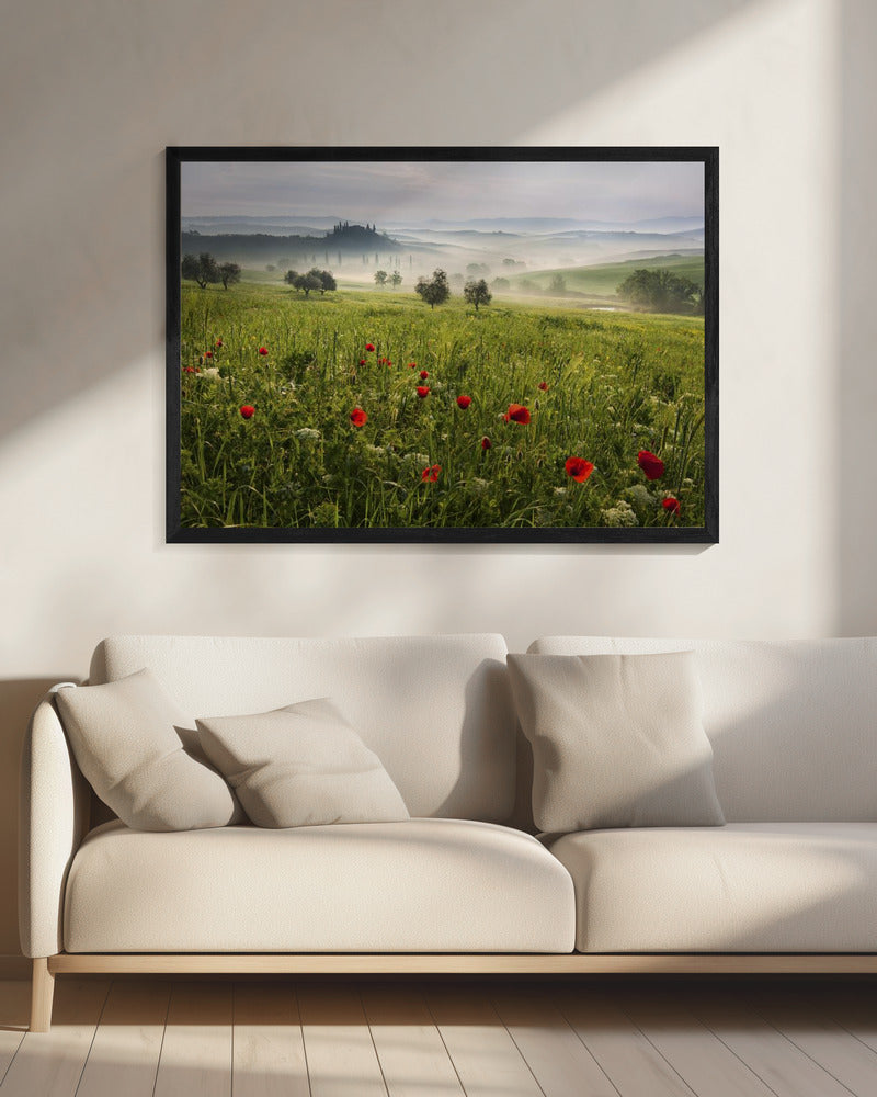 Tuscan spring | Canvas