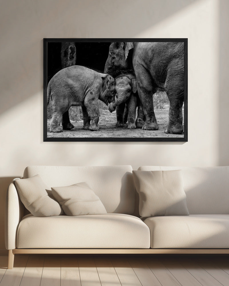 Friends Forever | Canvas