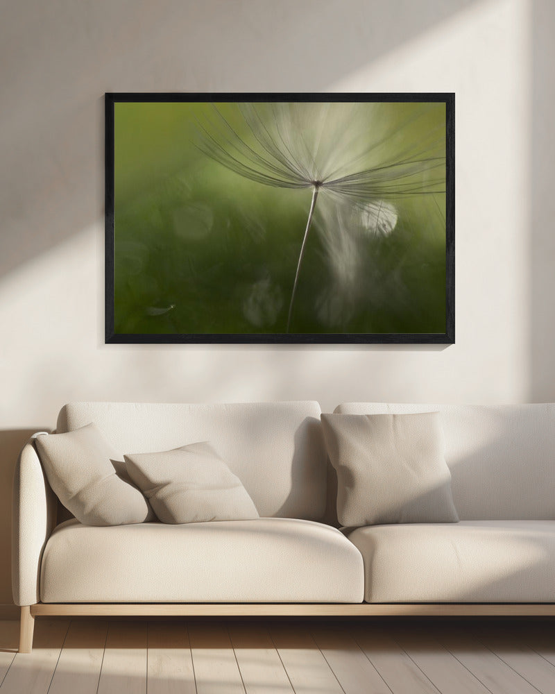 Shadows in the green | Canvas