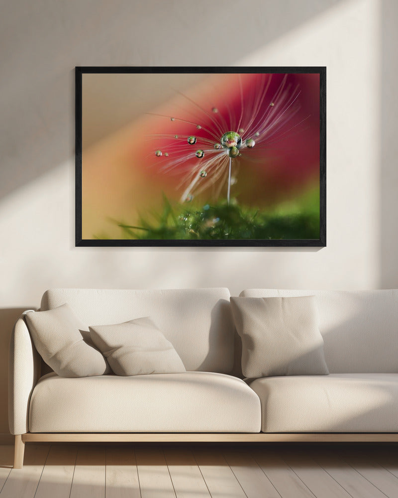 Red Morning | Canvas