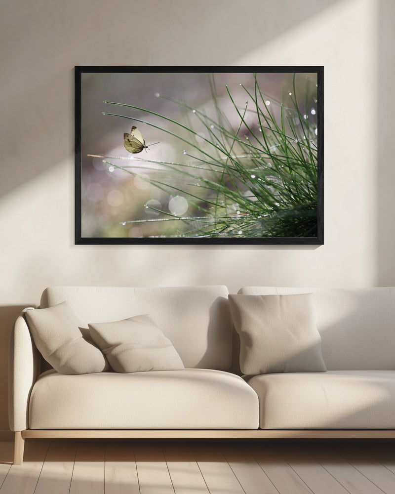 Imminent Landing | Canvas