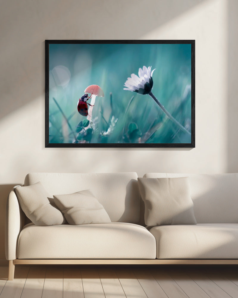 Speed dating | Canvas