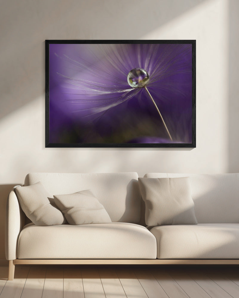 In shades of purple | Canvas