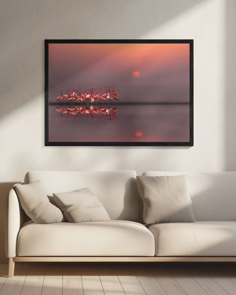 purple sunset | Canvas