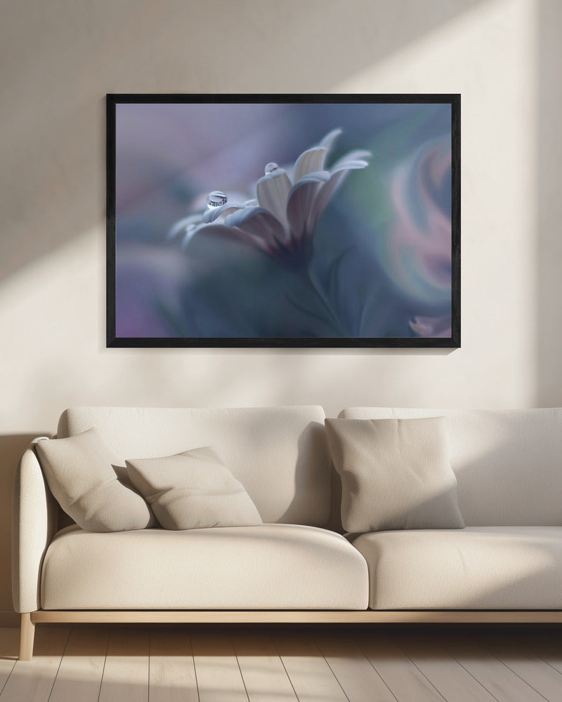 Behind Closed Eyes... | Canvas