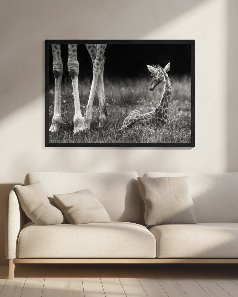 well protected | Canvas