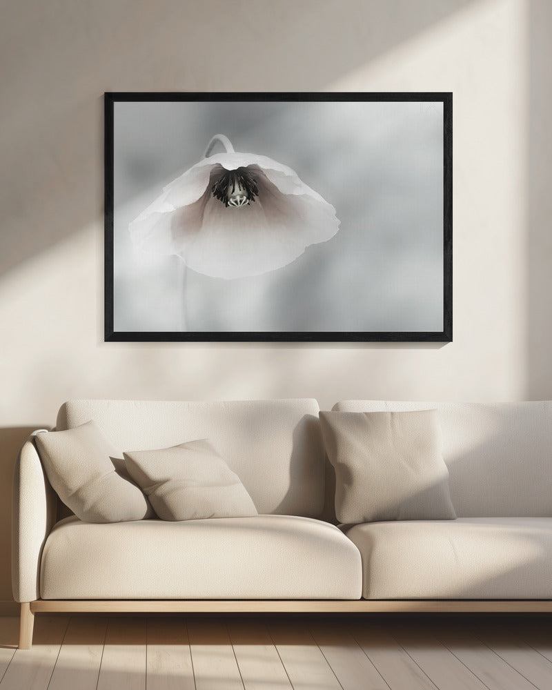 Ephemeral Beauty | Canvas