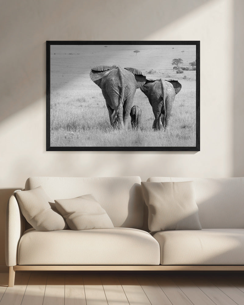 Three Butts! | Canvas