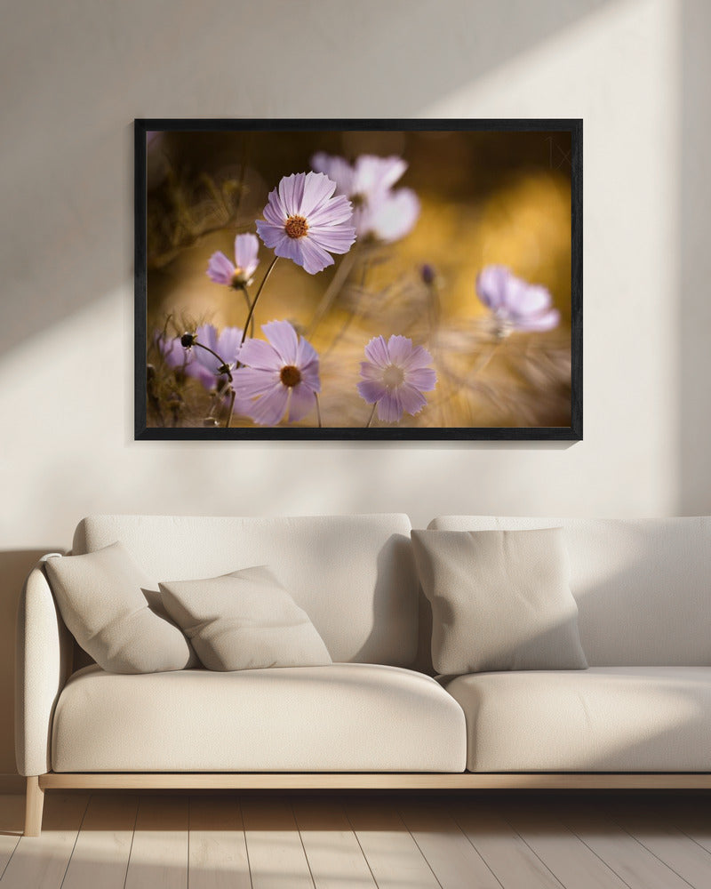 The Lion King | Canvas