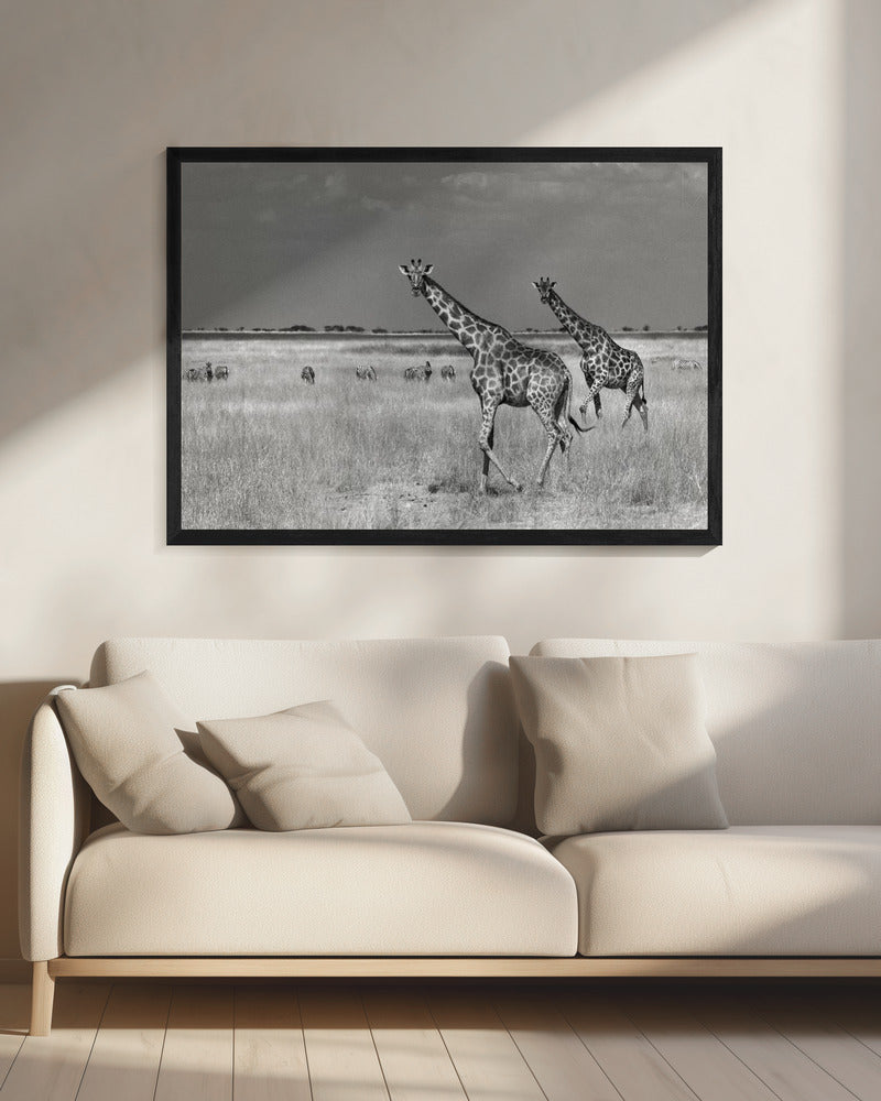 Tourists Spend | Canvas