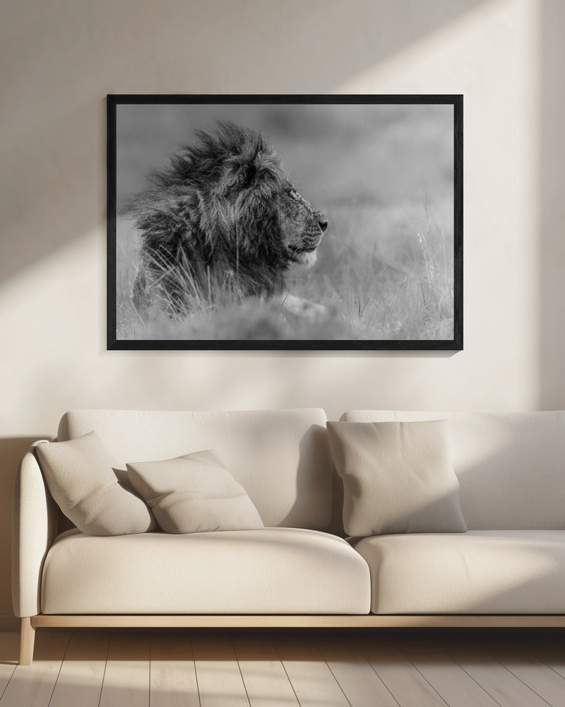 The king is alone | Canvas