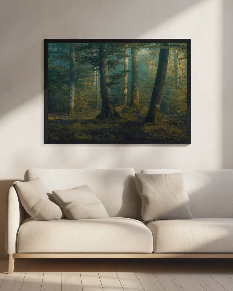 october colors | Canvas