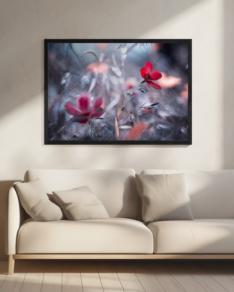 Une Fleur, une Histoire | Canvas