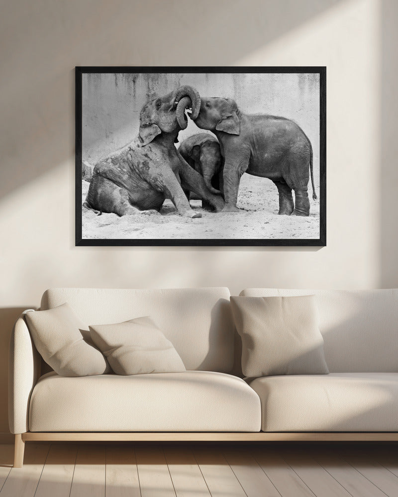 MÃ‰NAGE Ã€ TROIS | Canvas