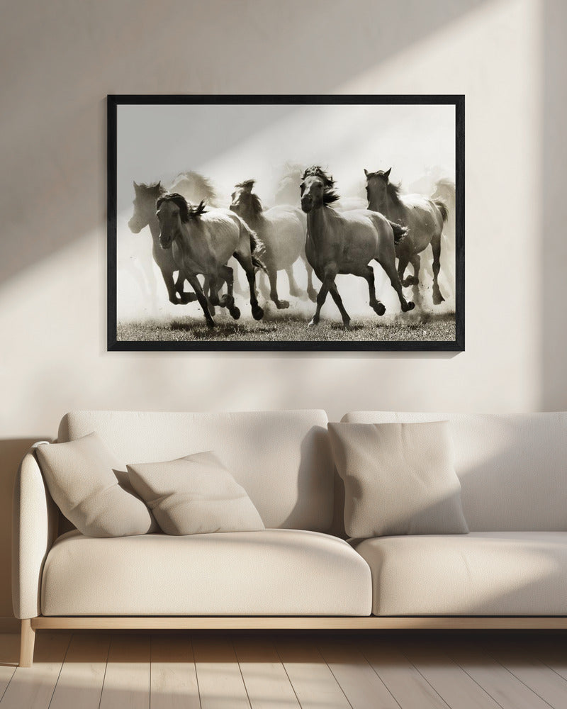 Horse | Canvas