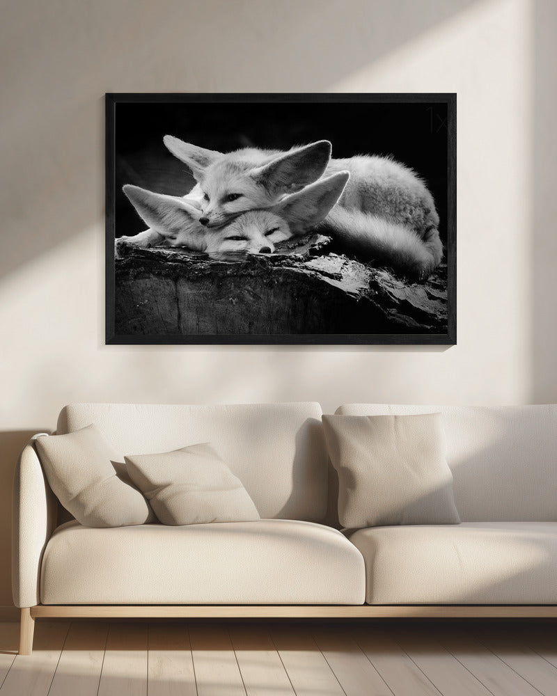 The happy couple | Canvas