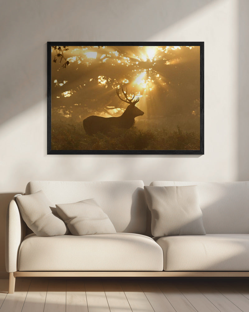 Ghost of the Forest | Canvas