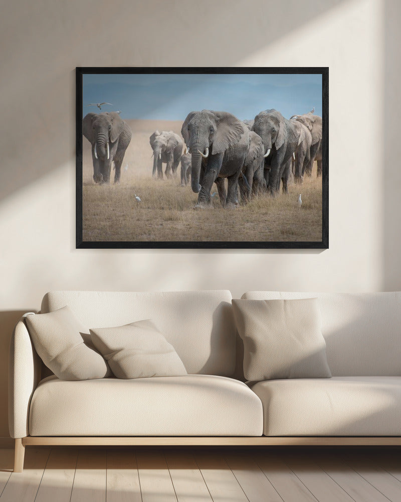 Remember the Titans | Canvas