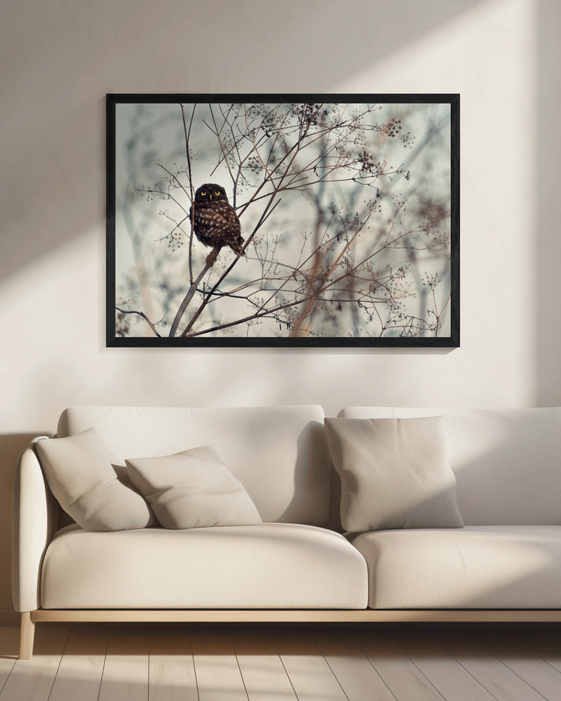 Look at Me! | Canvas