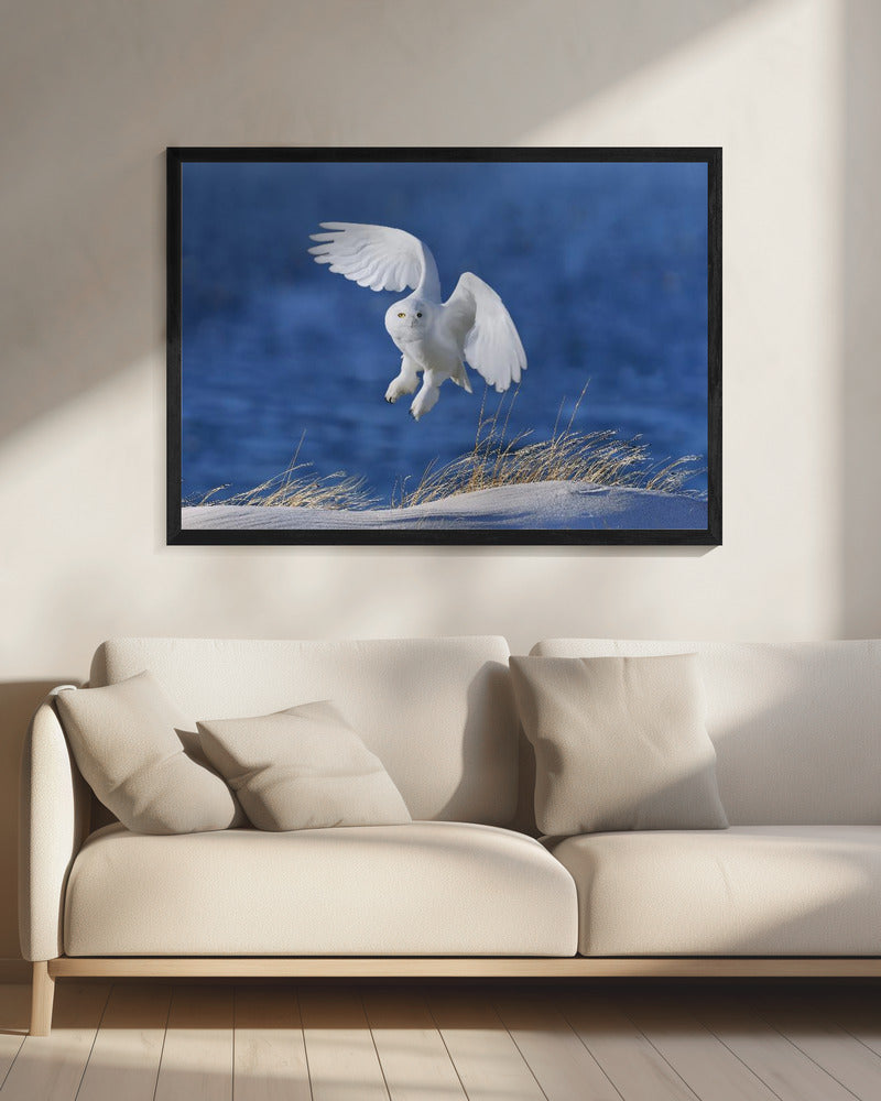 White Spirit demon | Canvas