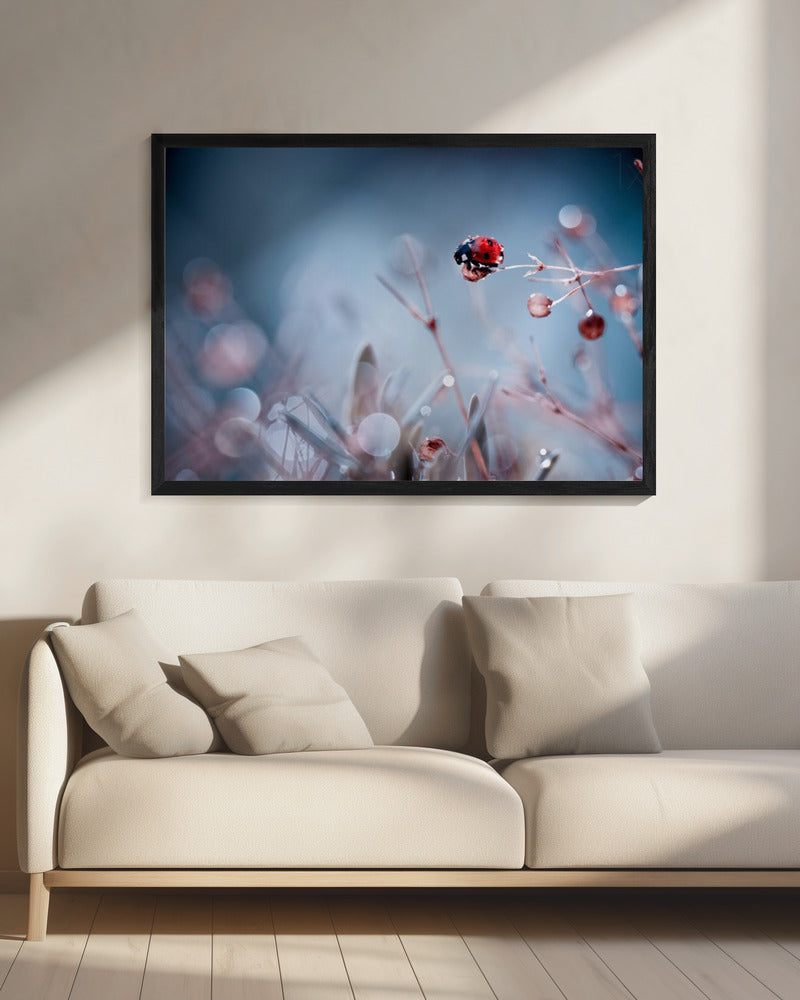 High Diving | Canvas