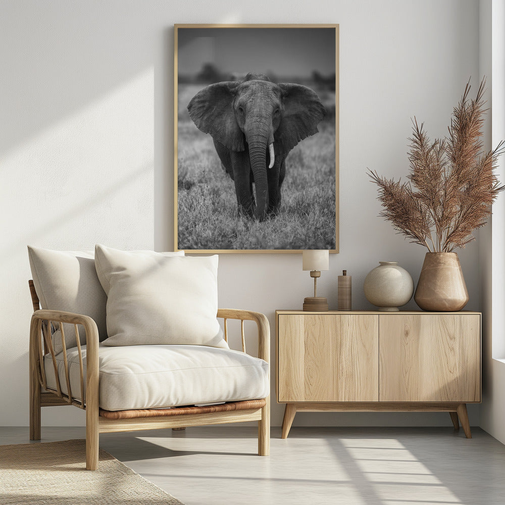 SINGULARITY | Poster