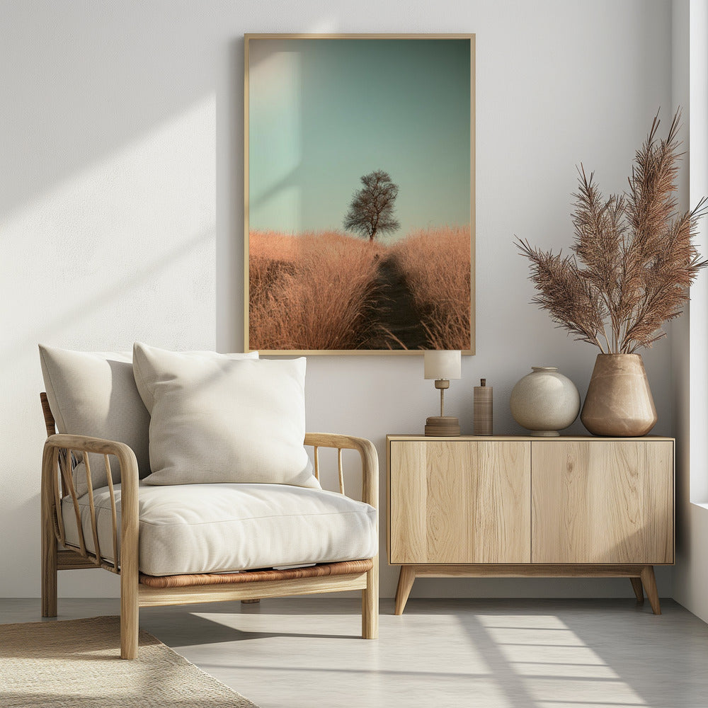 Grass and Path | Poster