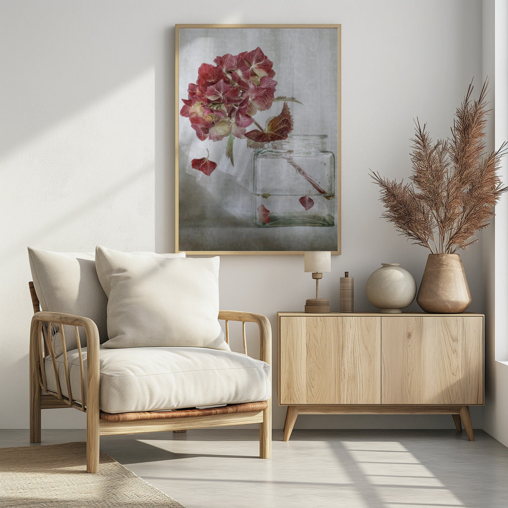 Hydrangea | Poster