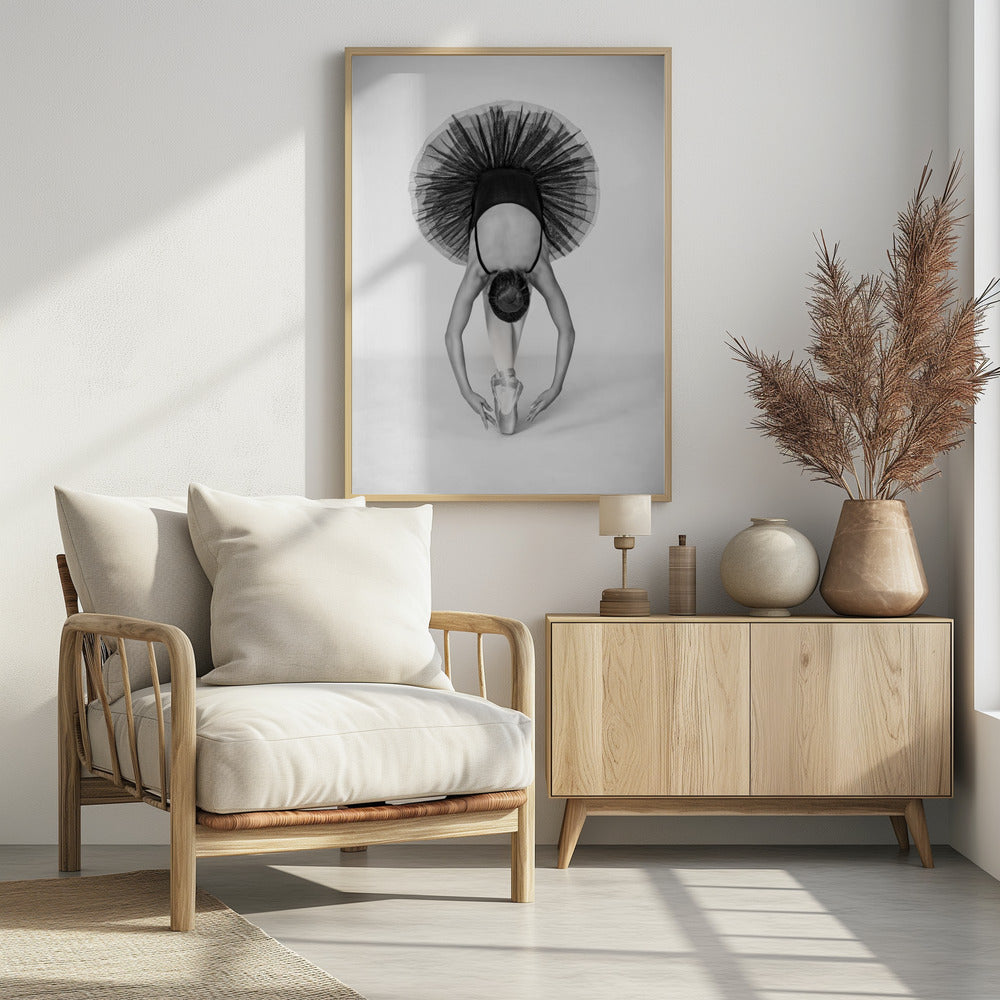 Ballet Technique | Poster