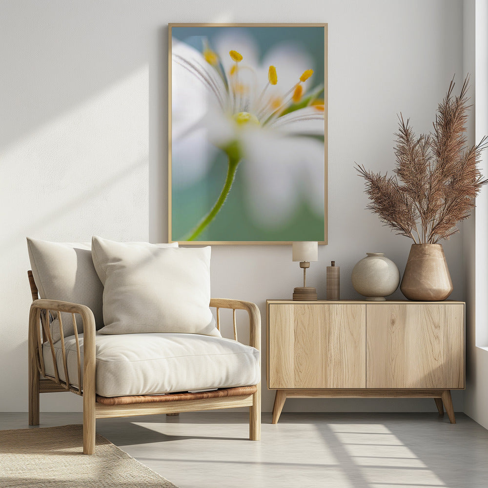 Stitchwort surprise | Poster