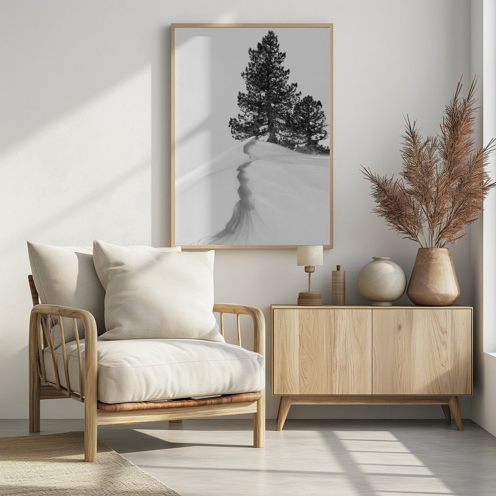 About the snow and forms | Poster