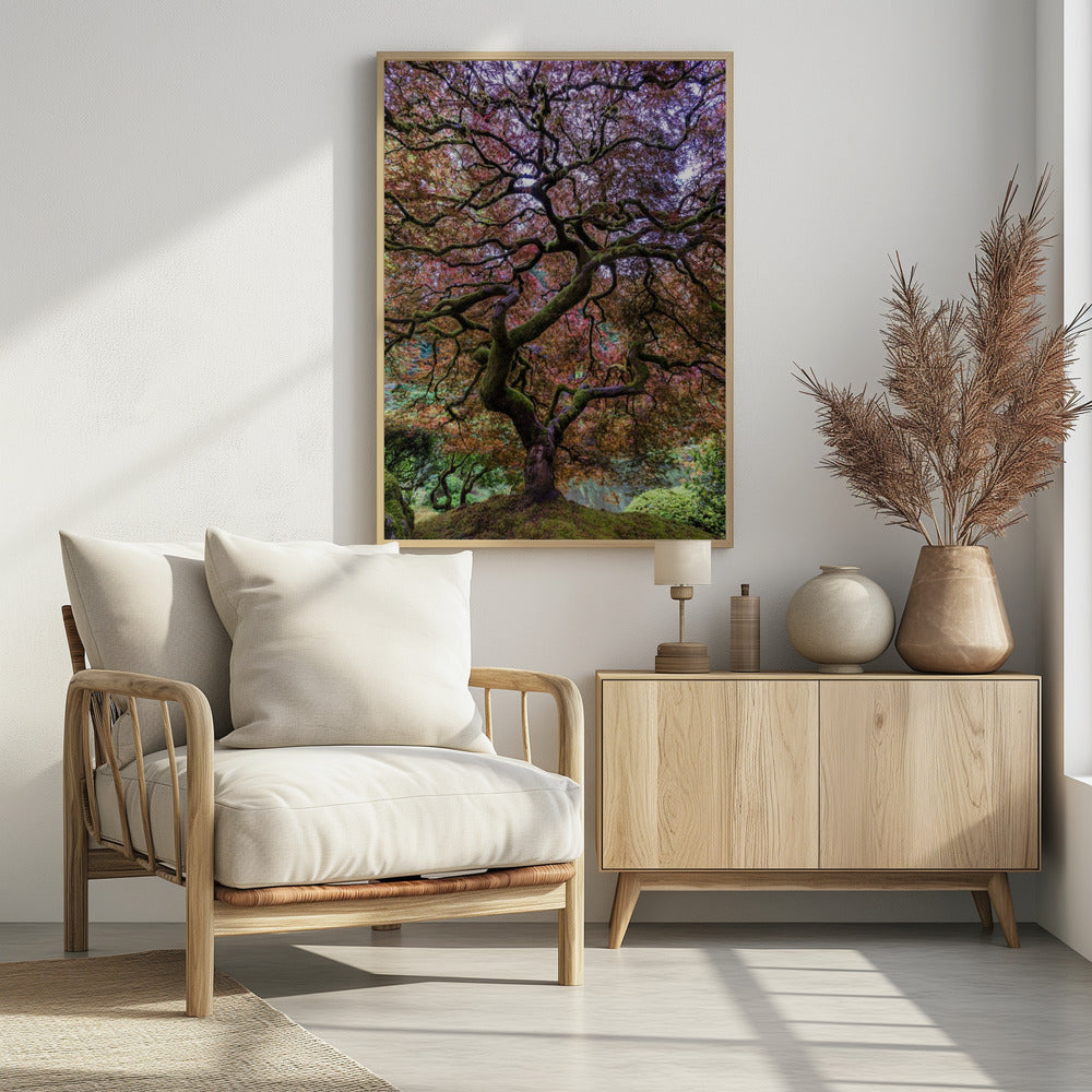 Japanese Maple Tree | Poster